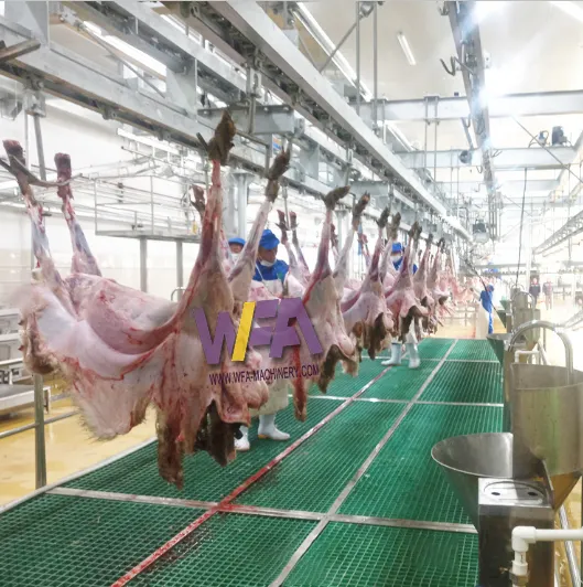 Hoogwaardige Geitenslachtapparatuur Lijn Vleesverwerkende Transportband Halal Moslim Voedselverwerking Schapen Slachthuis