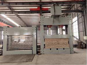 El Prensa Fría Está en el Marco Inferior. Hay transportadores de alimentación y descarga. - Product Image 1