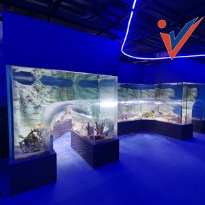 Verkoop Meer dan Tienduizend Groot Transparant Doorzichtig Plastic Acryl <span class=keywords><strong>Aquarium</strong></span> Met Aangepaste Vorm - Product Image 5