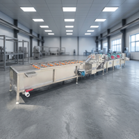 Commerciële fruitwas- en drooglijn, automatische salade reinigings- en verwerkingslijn, industriële bubbelwasmachine met luchtdroger