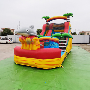 Castillo inflable acuático con tobogán de delfines para niños y adultos, ideal para patios traseros y uso comercial. - Product Image 3