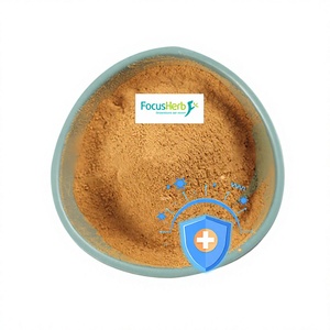 FocusHerb - Extracto de Hongo Shiitake Orgánico Natural 10:1 en Polvo, Grado Alimenticio, Extracción por Solvente, Disponible en Almacén de EE. UU. - Product Image 1