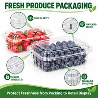 Boîte en PET transparente personnalisée pour myrtilles, fraises, fruits frais ventilés, emballage de produits horticoles avec couvercle à charnière OEM