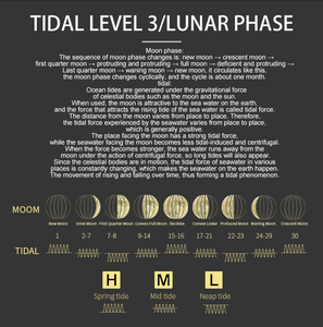 <span class=keywords><strong>LCD</strong></span> hiển thị màu không dây Trạm thời tiết với cảm biến ngoài trời kỹ thuật số máy tính để bàn thời tiết Nhiệt kế đồng hồ cho vườn - Product Image 4