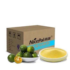 Natural fruit extract sour tasty spray dried Green Lime Calamansi Powder for sauces wine seasoning sauces seafood marinade