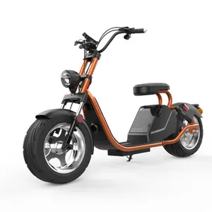 2022 New Model 45km/h 2000W EEC Electric Scooters Motorcycle Citycoco 2000w Chopper HL3