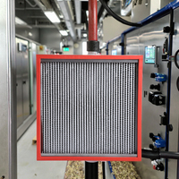 Salle d'opération hôpital traitement des aliments purificateur d'air Celling Filter H13 Hepa Filter