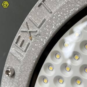 Промышленные светодиодные прожекторы Ex Lamp Zone 1 Zone2 для зон повышенной опасности, сертифицированные ATEX/IECEx, IP65, для периметра нефтеперерабатывающих заводов - Product Image 6