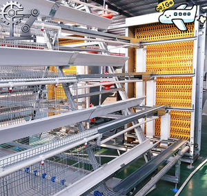 Cage automatique neuve de type 3/4 niveaux pour 2000-3000 poulets, ferme avicole, acier galvanisé, marque HENGQI - Product Image 2