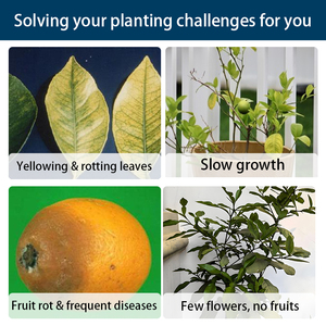 <span class=keywords><strong>Engrais</strong></span> pour citronniers, favorise la floraison et la pollinisation, améliore le taux de maturation des fruits et augmente le rendement. - Product Image 3