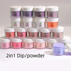 Tırnak sanat tasarımları 2 In 1 daldırma tozu temizle çıplak Nail Art Salon daldırma tozu toptan akrilik daldırma 2 In 1 toz Set