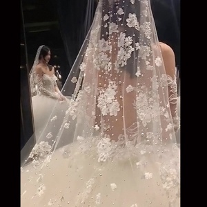 Velo da Sposa Feishiluo <span class=keywords><strong>di</strong></span> Lusso a Uno Strato, Lungo 350 cm, Stile Cattedrale, in Pizzo Floreale Completo con Pettine, Perline e <span class=keywords><strong>Diamanti</strong></span> - Product Image 2