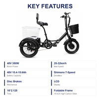 Tricycle électrique pliable 16 pouces 48V 350W à cadre bas, 3 roues, vélo cargo électrique avec panier, 7 vitesses, frein à disque pour adultes