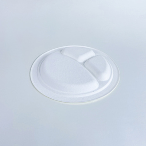 Assiettes jetables écologiques biodégradables et compostables en pulpe de bagasse de canne à sucre, blanches, pour fêtes, 9''/10''/12'' - Product Image 4