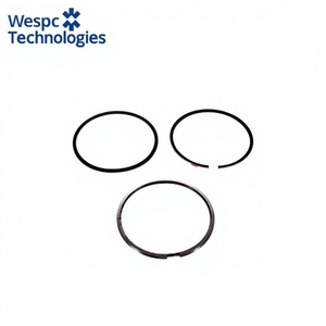 Segment de piston WESPC 4181A106 pour moteur diesel Perkins 1004 1006, tracteur, générateur, engins de construction, pièce de rechange - Product Image 3