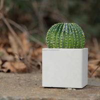 Pot de fleurs carré en béton noir et blanc, finition mate, en ciment solide, pour plantes succulentes de bureau, mini-plantes vertes, couleur et logo personnalisables, vente en gros