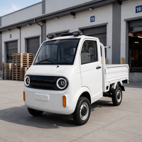 Camionnette électrique directement de l'usine, véhicule utilitaire électrique 4 roues pour adultes, véhicule utilitaire agricole, camion électrique 2 portes