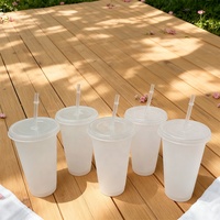 Gobelets en plastique réutilisables sans BPA de 500ml 700ml tasses à café gobelets en plastique mat avec paille et couvercle