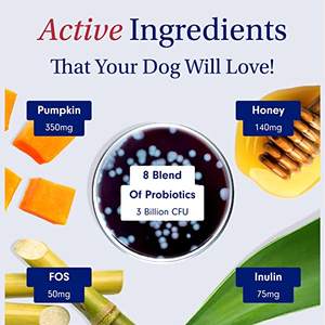 Oem/odm פרטי תווית פרו-ביוטיים טבעית לעיסת מזון לחיות מחמד תוספת כלבים חטיפים ספקים לבריאות בטן - Product Image 5