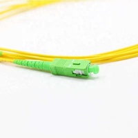 Singlemode simplex 1m 5 meter 10m 15m 2.0mm 3.0mm 1.6mm 1.8mm kabel Patch optik SCAPC-SCAPC