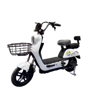 Kit de Conversión de Bicicleta Eléctrica con Batería de Plomo-Ácido de 300 kg, Apto para Adultos, Bicicleta Ligera de Alta Resistencia, Kit de Conversión Triangular - Product Image 5