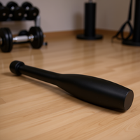 Bâton d'exercice Indian Club 15LB en fer pour entraînement de force, équipement de fitness unisexe