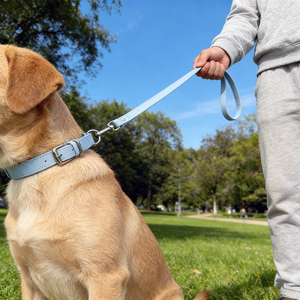 Laisse pour chien en cuir PU imperméable et durable pour chiens de petite à moyenne taille, laisse de promenade facile à nettoyer avec logo personnalisé - Product Image 1