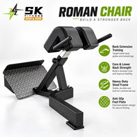 Banc d'hyperextension à 45 degrés SK Commercial Gym pour entraînement de la colonne vertébrale, équipement de fitness pour clubs et studios
