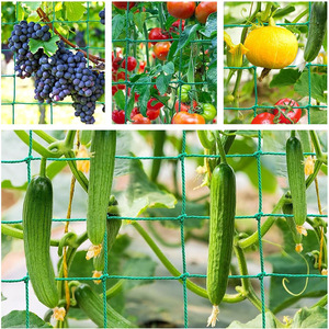 DaringFish Grille de support pour plantes grimpantes en nylon pour jardin et cour, idéale pour concombres, tomates et pois - Product Image 3