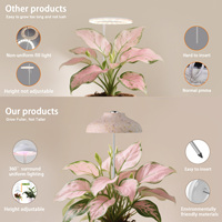 Lampe de culture LED d'intérieur pour plantes, lumière de floraison, abat-jour en paille écologique verte, 5W USB, spectre complet 4000K, minuterie automatique, fourniture d'usine