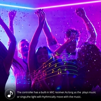 Bande lumineuse LED néon RGB WS2812B, étanche IP65, synchronisation musicale WiFi, contrôle par application, adressable, flexible, 120 LED/m, décoration intérieure