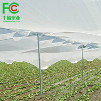 Filet anti-grêle et anti-oiseaux en polyéthylène à prix abordable pour l'agriculture, service de traitement inclus, découpe possible