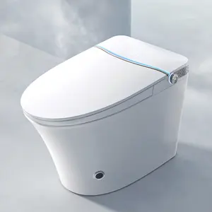 Grote Auto Wassen Automatische Waterspray Smart Toilet Intelligent Met Externe Vrouwelijke Wassen Met Kachel