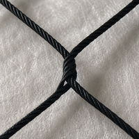 Filet de protection en treillis métallique en acier inoxydable 304 à oxyde noir, haute résistance, flexible, pour jardin, zoo, volière, fabriqué en Chine