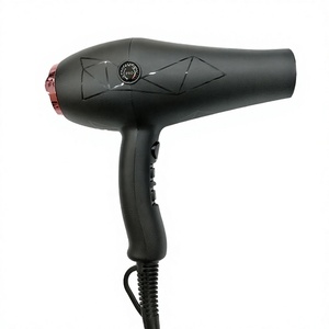 Sèche-cheveux professionnel HHTG H10 2400W à moteur AC ionique avec buse concentratrice, 3 vitesses, pour hôtels et usage domestique (vente en gros) - Product Image 1
