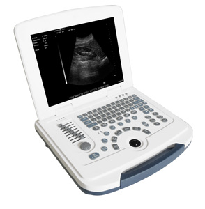 Système de diagnostic ultrasonore numérique noir et blanc pour animaux de compagnie Daiwei DW-580, prix d'usine, fabricant et fournisseur - Product Image 3