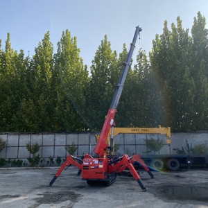 מיקרו סורק נייד עגור 2 3 5 8 <span class=keywords><strong>10</strong></span> 12 טון טלסקופי בום טלסקופי קטן הידראולי עכביש מחיר עגור - Product Image 6