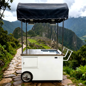2025 Stainless Steel Fiberglass Hot Dog Food Cart Street Full Kitchen Mobile Ice Cream Tricycle <b>Freezer</b> Trailer for Usa - Product Image 1