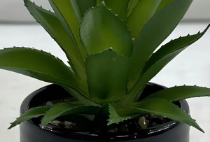 Adornos Decorativos para Jardín y Hogar, Árbol Artificial de Agave y <span class=keywords><strong>Maguey</strong></span>, Material PE, para Bodas y Uso en Interiores - Product Image 5