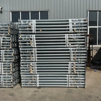 Étai de soutènement réglable Peri Prop en acier robuste pour la construction extérieure, échafaudage galvanisé pour usage extérieur