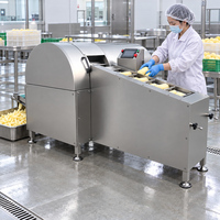 Automatische fruit- en groentesnijmachine met motor voor commercieel gebruik in snackfabrieken en keukens
