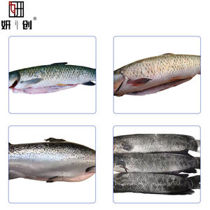 Máquina de Descamar Peixe de Alta Pressão Tipo Novo Mais Vendida - Removedor Elétrico de Escamas de Peixe - Product Image 3