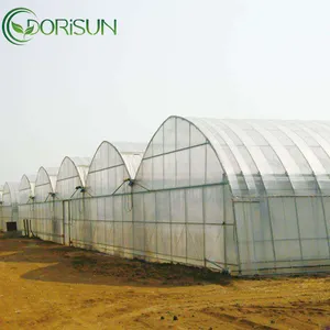 Serre agricole tunnel de culture de légumes à cadre multiple serre à film multi-travée