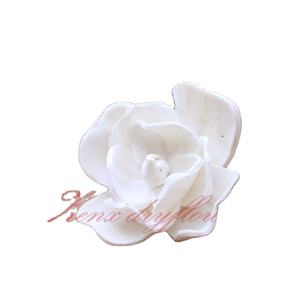 Ambientador con Difusor de Fragancia Orgánico Ecológico, Sola Flowers para Coche, Caña de Algodón Malvado, Flor Decorativa de Mognolia para Coches - Product Image 2