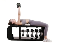 Haute qualité multifonctionnel banc d'entraînement stockage banc de Fitness équipement de Fitness haltère stockage banc de poids