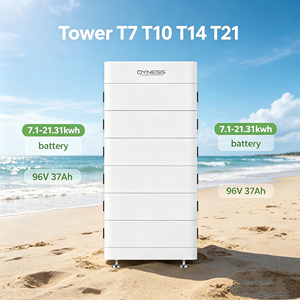 Sistema de Almacenamiento de Energía Doméstico <span class=keywords><strong>DYNESS</strong></span> Tower T14 384v 14kwh, Batería Lifepo4 de Alto Voltaje con <span class=keywords><strong>BMS</strong></span> para Apilamiento, Protección IP54 - Product Image 1