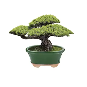 Kapalı bahçe açık sırlı seramik Bonsai Succulents Pot dekoratif ekici cüce ağaçları küçük bitkiler yeşil Oval konteyner