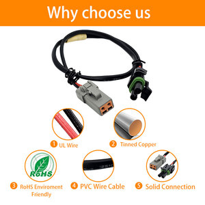 双输出 DJ3021Y DTP06-2S UL 1007 16AWG 公对母适配器 2 针定制连接器 LED 工作接线线束 - Product Image 5