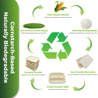 Boîte à lunch en amidon de maïs à 3 compartiments |   Conteneur alimentaire biodégradable certifié FDA |   Boîte à emporter réutilisable et écologique