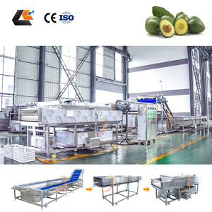 Ligne de lavage et de séchage pour fruits (cerises, oranges, mangues) et légumes (tomates, choux) avec système de lavage Vortex - Product Image 1
